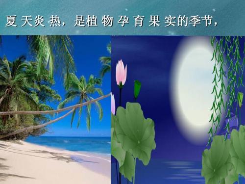 综合性学习 寻觅春天的踪迹