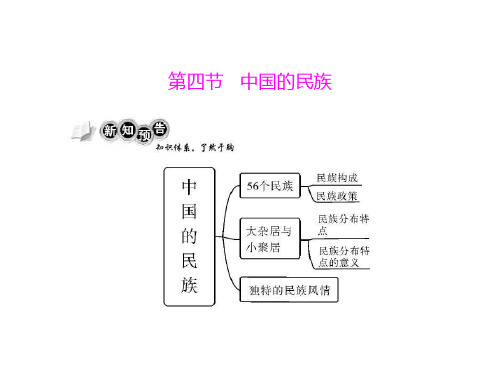 八年级地理中国的民族(2019年11月整理)