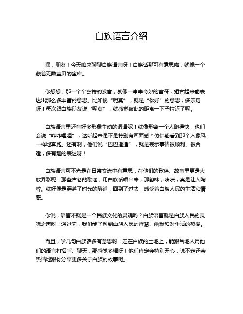 白族语言介绍