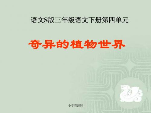 世界S版语文小学三年级下册《奇异的植物PPT课件》公开课教学课件