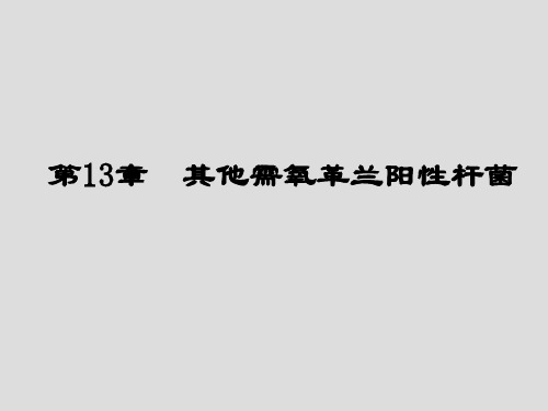 临床微生物学检验  第13章 其他需氧革兰阳性杆菌