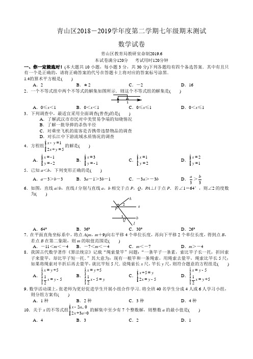 青山区2018-2019学年度下学期期末考试七年级数学试卷(word版)