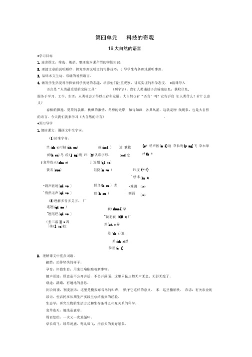 16《大自然的语言》导学案教师版