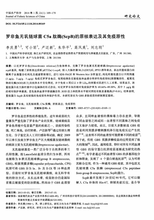 罗非鱼无乳链球菌C5a肽酶(ScpB)的原核表达及其免疫原性