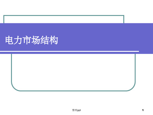 《电力市场分类》PPT课件