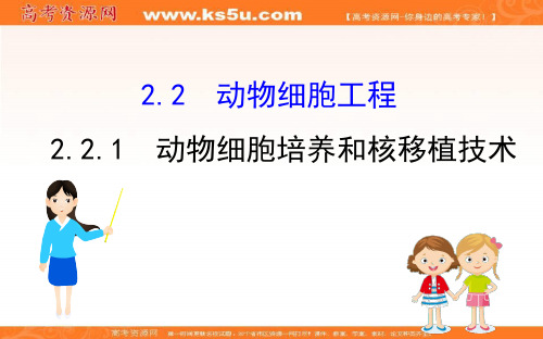 2.2动物细胞培养和核移植技术课件-2020-2021学年高一生物人教版选修三