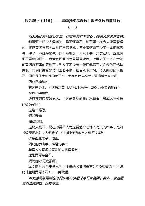 叹为观止（346）——魂牵梦绕是奇石！那些久远的黄河石（二）