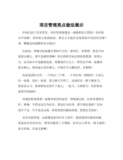 项目管理亮点做法展示