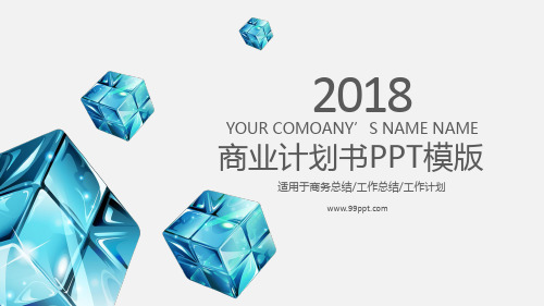 2018年商业计划书商务总结工作总结工作计划ppt通用模板