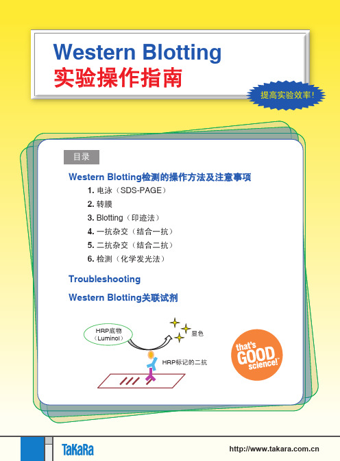 western_blot