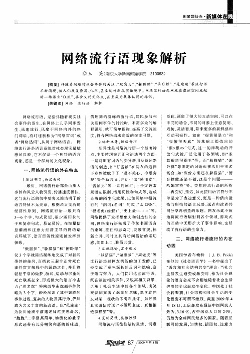 网络流行语现象解析