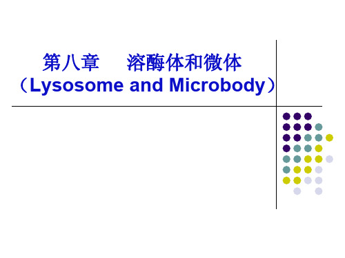 第八章溶酶体和微体