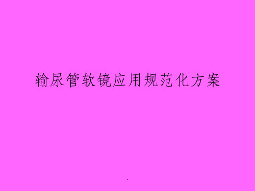 输尿管软镜应用PPT课件