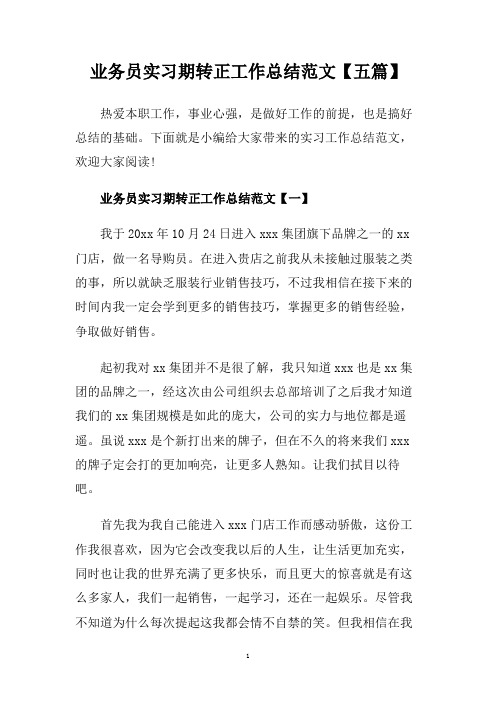 业务员实习期转正工作总结范文【五篇】.doc