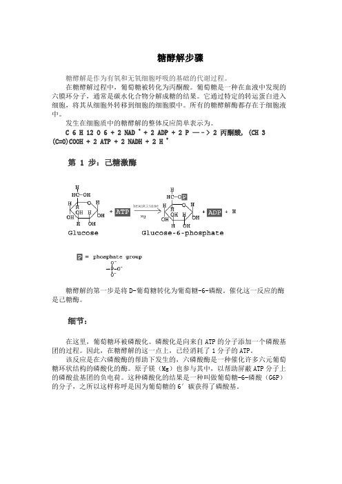 糖酵解步骤