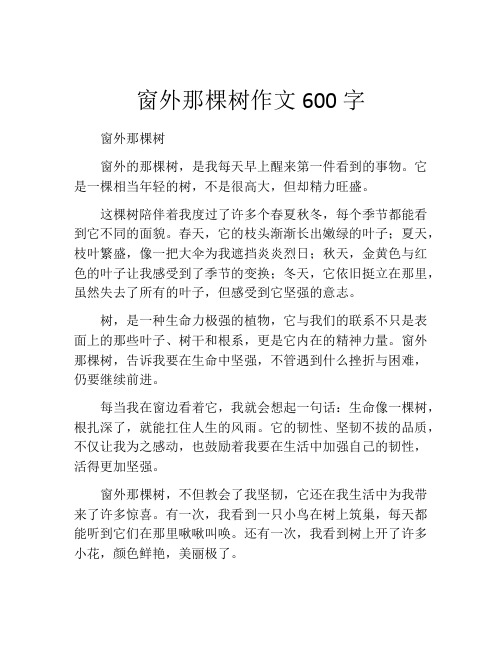 窗外那棵树作文600字