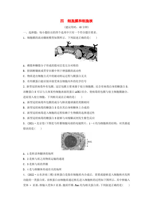 2024版高考生物一轮总复习课时质量评价4细胞膜和细胞核