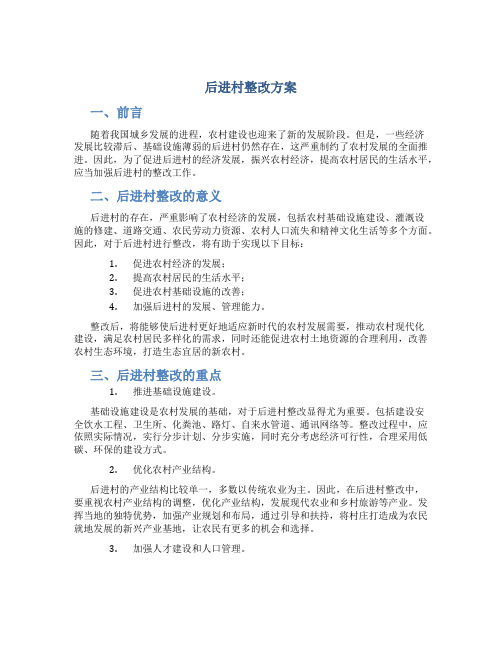 后进村整改方案