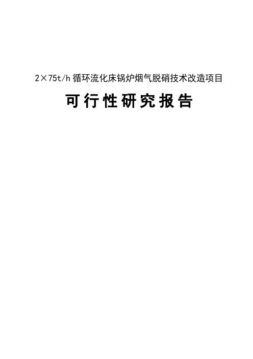 循环流化床锅炉烟气脱硝技术改造项目可行性研究报告