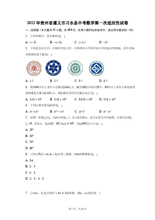 2022年贵州省遵义市习水县中考数学第一次适应性试题及答案解析