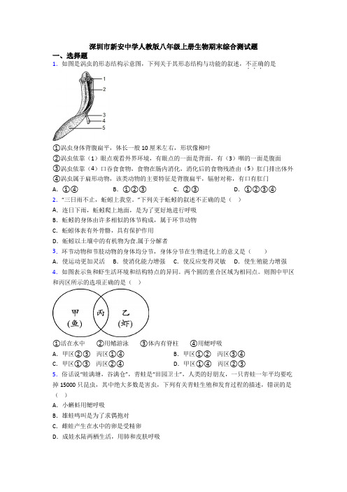 深圳市新安中学人教版八年级上册生物期末综合测试题