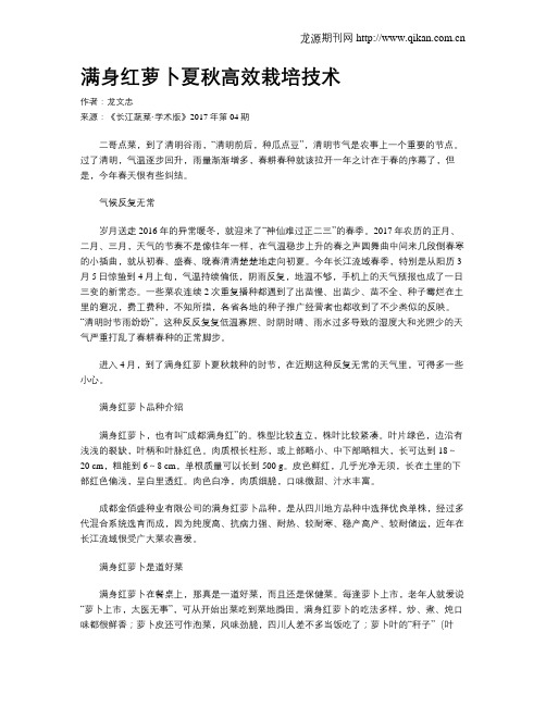 满身红萝卜夏秋高效栽培技术