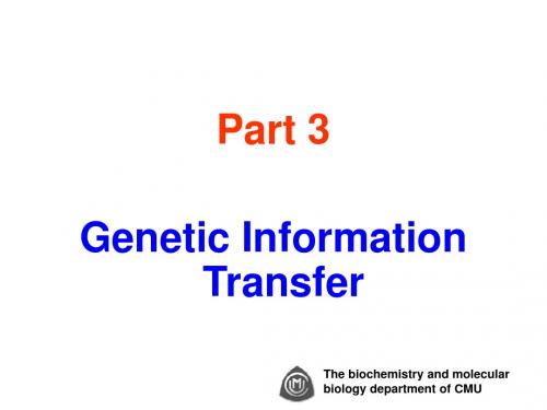 DNA replication 中国医科大学 生物化学 DNA复制 英文