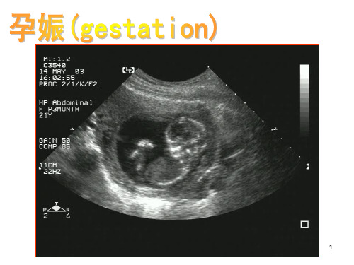 彩色多普勒超声的临床应用