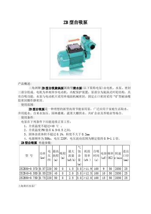 ZB型自吸泵