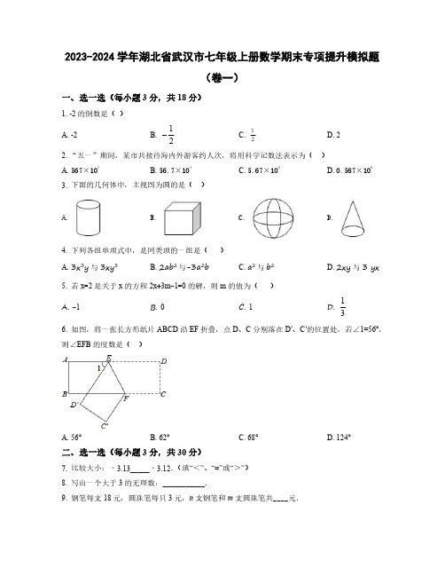 2023-2024学年湖北省武汉市七年级上学期数学期末质量检测模拟题合集两套(含解析)