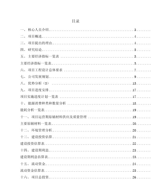 智能手表项目投资计划及资金方案