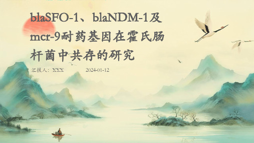 blasfo-1、blandm-1及mcr-9耐药基因在霍氏肠杆菌中共存的研究PPT演示课件