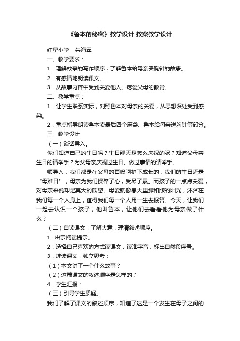 《鲁本的秘密》教学设计教案教学设计