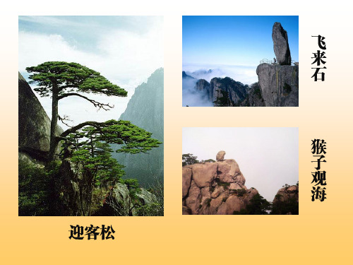 确定旅游路线课件.ppt