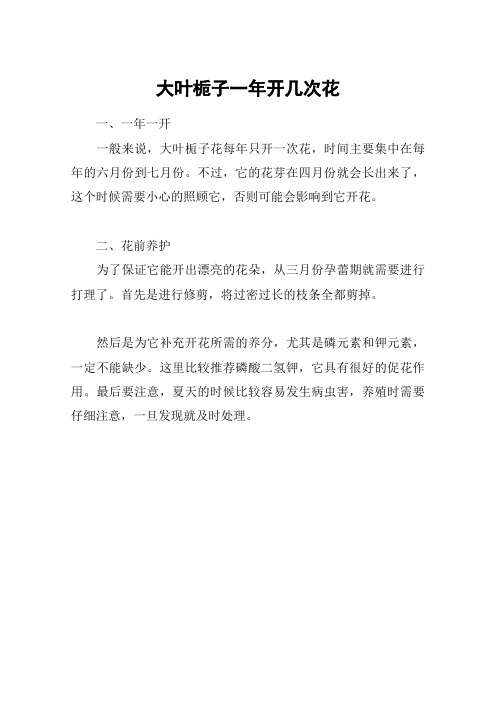 大叶栀子一年开几次花