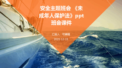 安全主题班会 《未成年人保护法》PPT班会课件