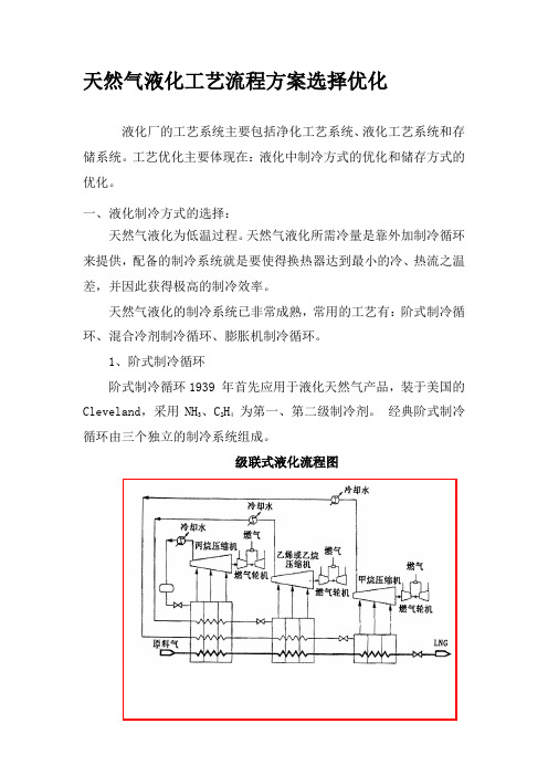 天然气液化流程工艺选择优化