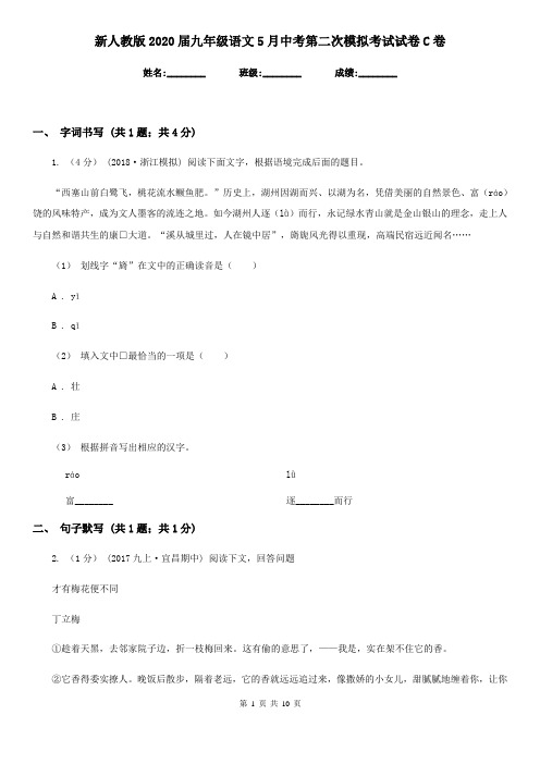新人教版2020届九年级语文5月中考第二次模拟考试试卷C卷