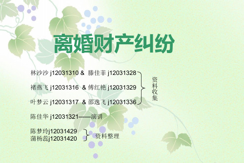 婚姻案例