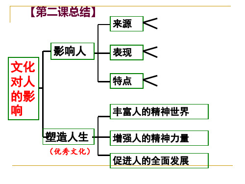 人教版高中政治必修三《世界文化的多样性》课件