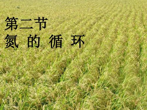 氮的循环 PPT课件5 鲁科版