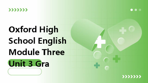 牛津高中英语模块三Unit3Grammar课件