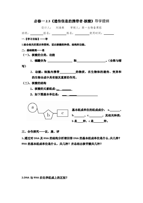 江西省吉安县第三中学高中生物必修一：2.3遗传信息的携带者-核酸导学提纲