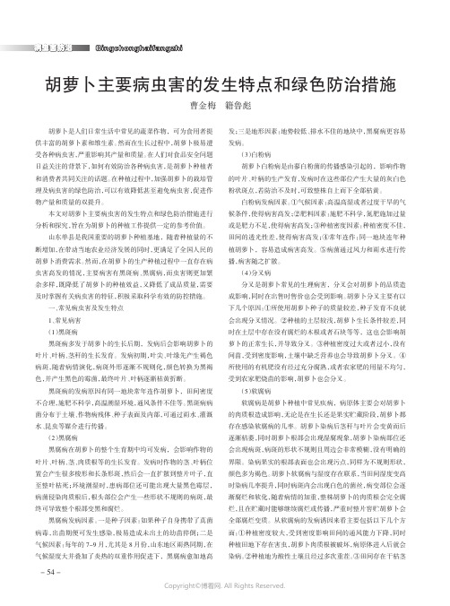 胡萝卜主要病虫害的发生特点和绿色防治措施