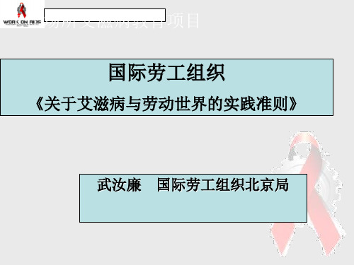 国际劳工组织概述(ppt 19页)