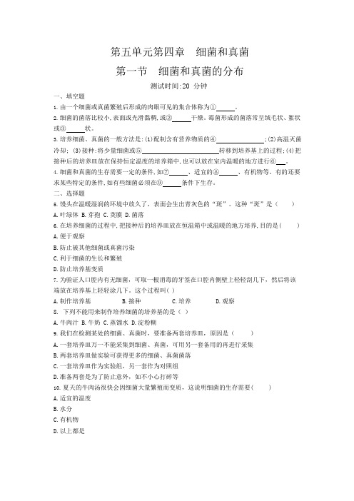 人教版生物八年级上册 5.4.1 细菌和真菌的分布 同步测试题