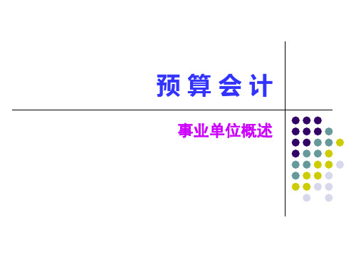 预 算 会 计91011