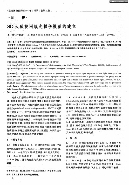 SD大鼠视网膜光损伤模型的建立