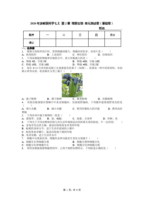 2020年浙教版科学七上 第2章 观察生物 单元测试卷(基础卷)