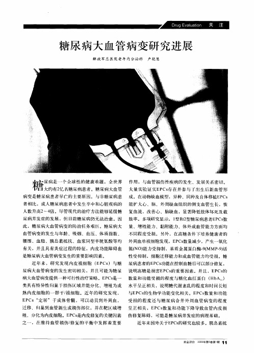 糖尿病大血管病变研究进展